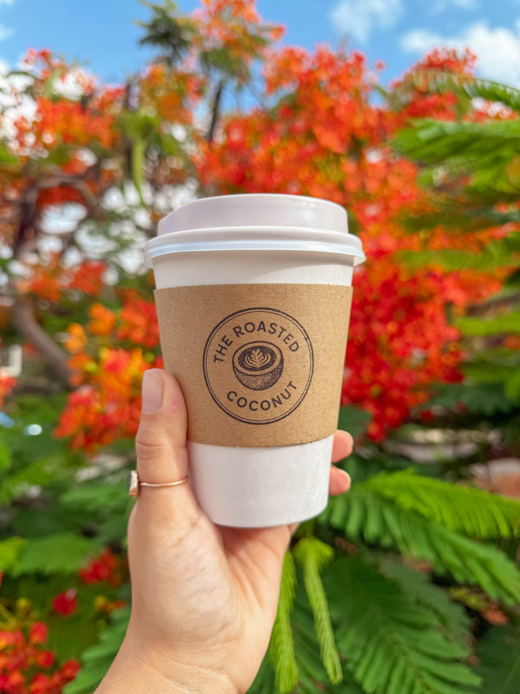 The Roasted Coconut to go cup in front of a flamboyant tree in bloom
